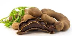 Tamarind Pods