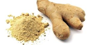 Dehydrated Ginger Powder