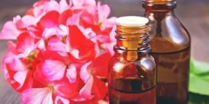 Geranium Essential Oil