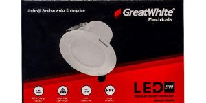 LED Down Light