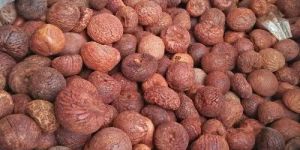 Areca Nut