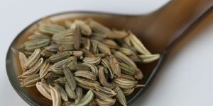 Caraway Seeds