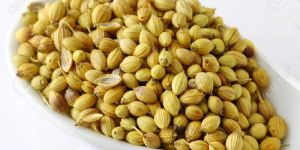 Dhaniya Seeds