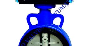 Butterfly Valve