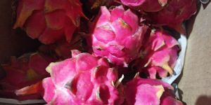 Organic Dragon Fruit