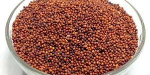 Finger Millet Seeds