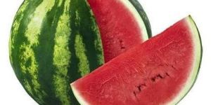 Fresh Watermelon