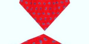 Cravat and Pocket Square Set