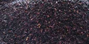 Best Black Rice Manipur