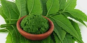 Neem Powder
