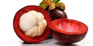 Garcinia Indica Fruit