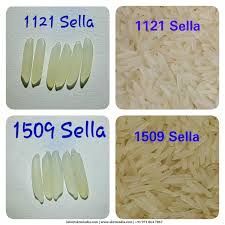 All Type of Basmati