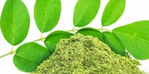 Moringa Leaf Powder