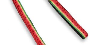 Dog Leash with Padded Handle