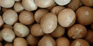 Betel Nuts