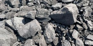 Coal