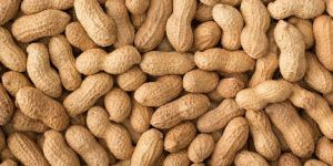 Peanut