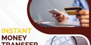 Domestic Money Transfer Softwares Development Company