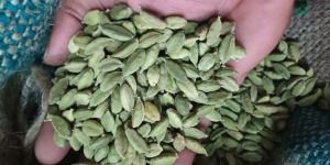 Green Cardamom