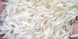 Basmati Rice