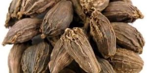 Black Cardamom