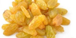 Yellow Raisins