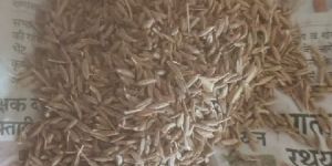 Cumin Seeds