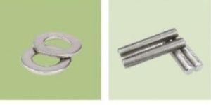 Stainless Steel Bolt