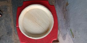 10 Inch Disposable Plate