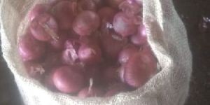 Nashik Onion