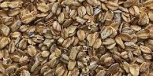 Pre Gelatinized Torrefied Flaked Wheat