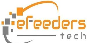 Seo Services in Jaipur