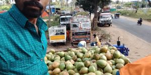 Tender Coconut