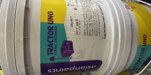 Asian Distemper