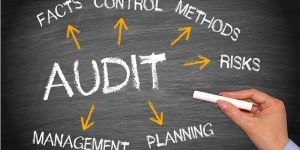 Auditing Services