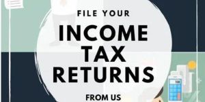 Income Tax Consultant