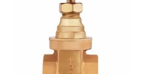 Gun Metal Gate Valve