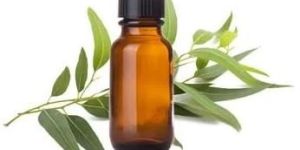 Eucalyptus Oil