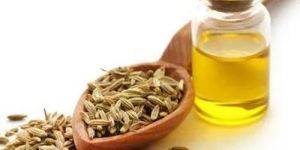 Fennel Oil