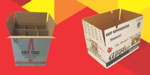 Offset Printed Carton Box