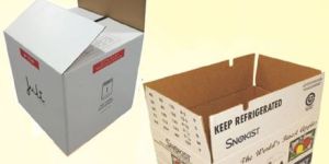 Printed Duplex Master Carton