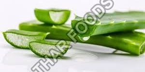 Aloe Vera Pulp