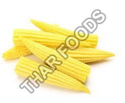 Baby Corn