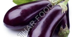 Fresh Brinjal