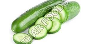 Fresh Cucumber