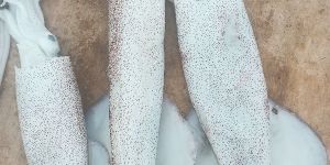 Fresh Squid Fish