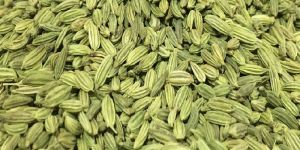 Fennel Seeds
