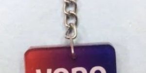 SBI Yono Acrylic Key Chain