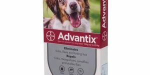ADVANTIX Tablet
