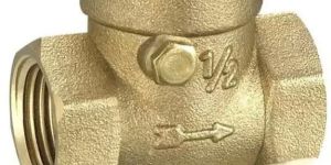 BSP NPT Brass Swing Check Valve